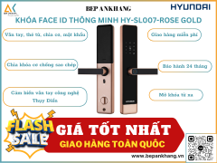 Khóa vân tay thông minh HYUNDAI HY SL007-ROSE GOLD - Hệ cửa gỗ